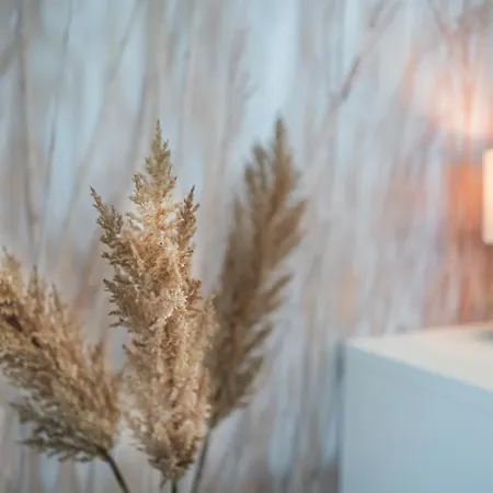 Daire Myflat Wave Siofok